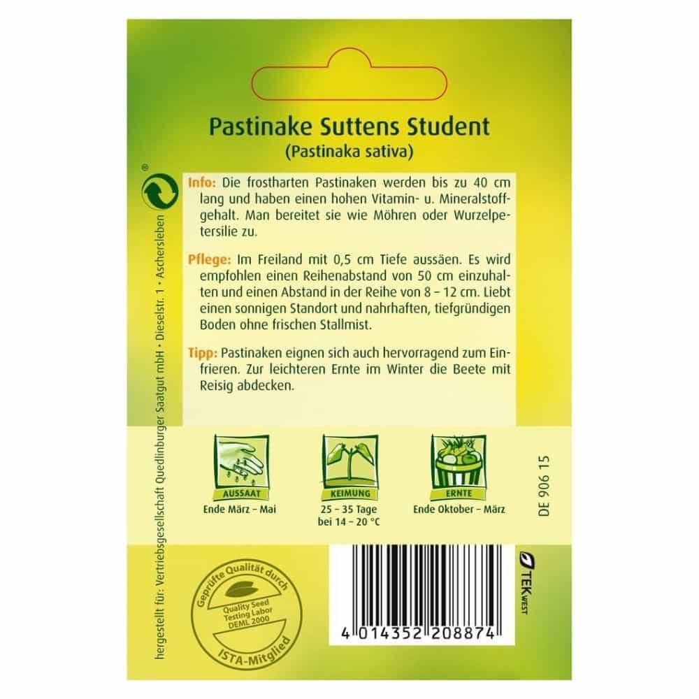 Pastinakk, Suttens Student-0