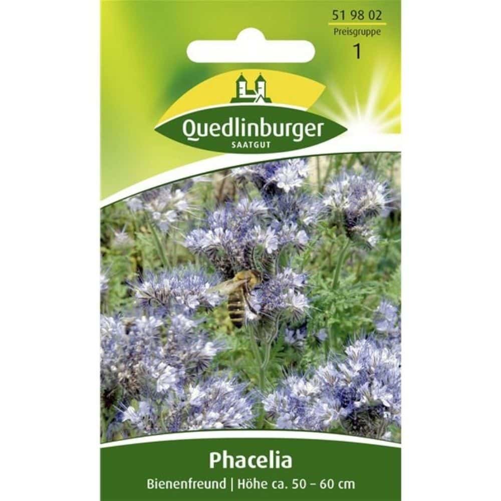 Phacelia, Bievenn