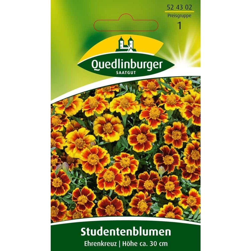 Studentblomst, Æreskors