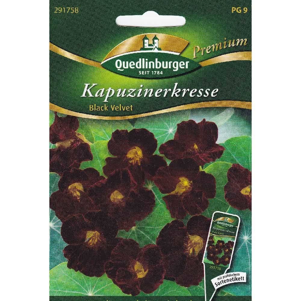 Blomkarse, Black Velvet