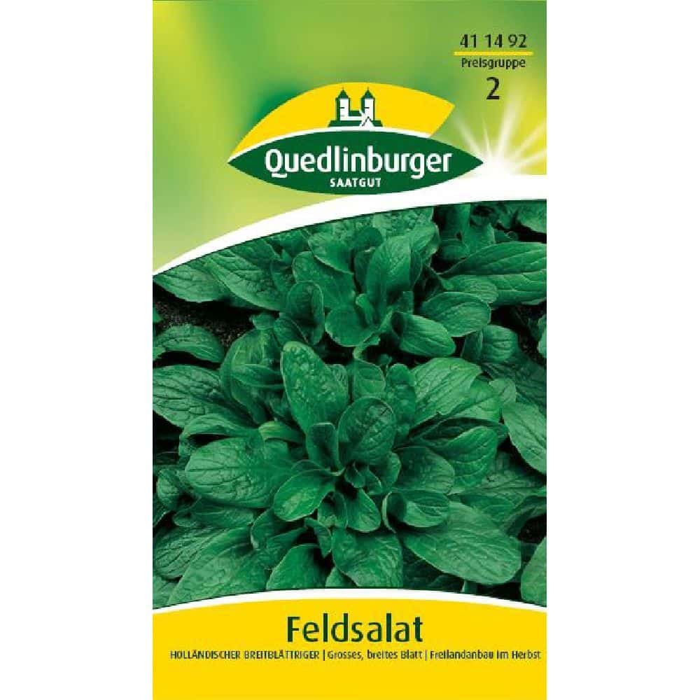 Feltbladsalat, hollandsk - bredbladet