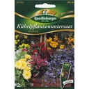 Krukkeplanter underplanting, blanding