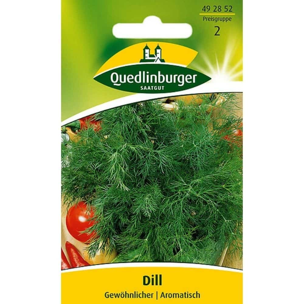 Dill, vanlig