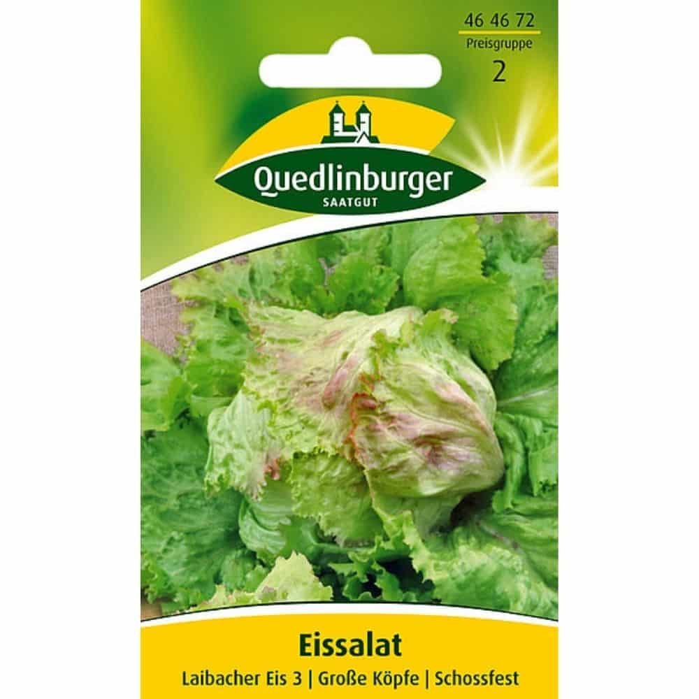 Isbergsalat, Laibacher Eis 3