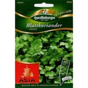 Bladkoriander, Cilantro