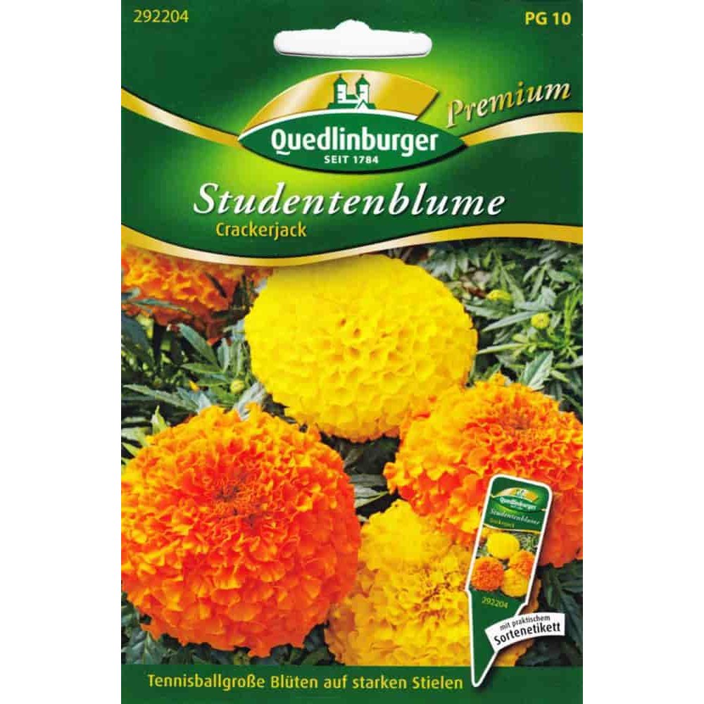 Studentblomster, Crackerjack