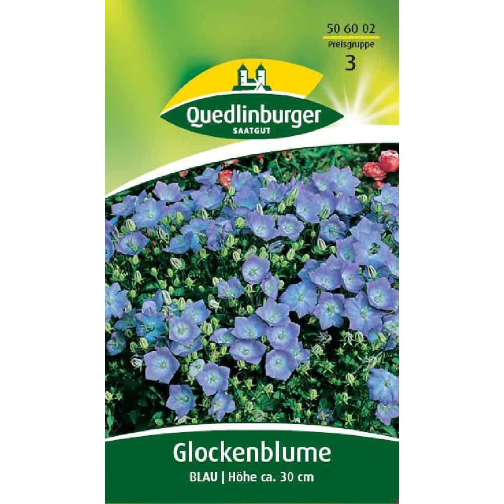 Klokkeblomst, Blå