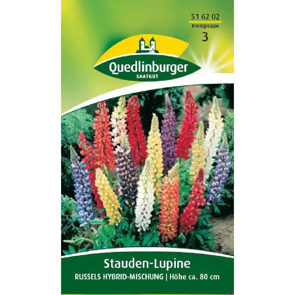 Staude-lupin, Russels hybridblanding