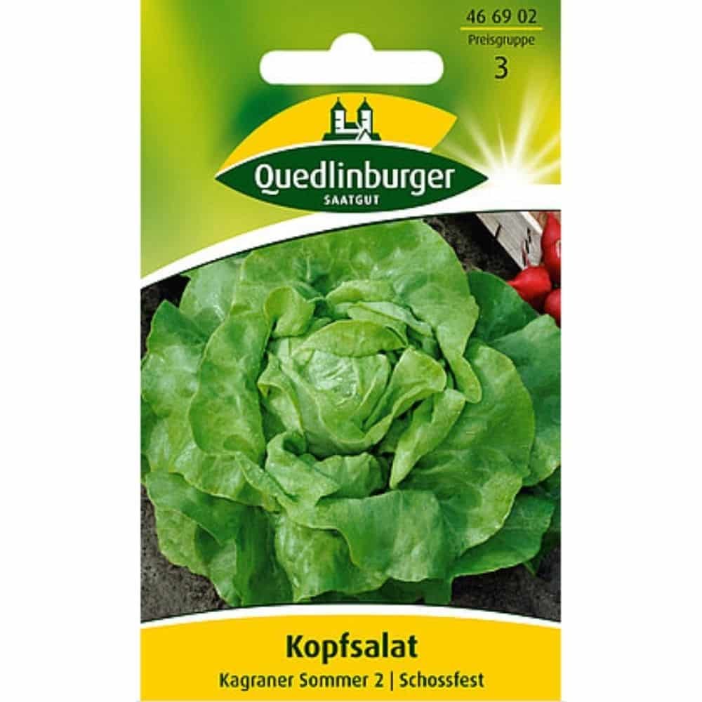 Hodesalat, Kagraner Sommer 2