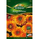 Ringblomst, Greenheart orange