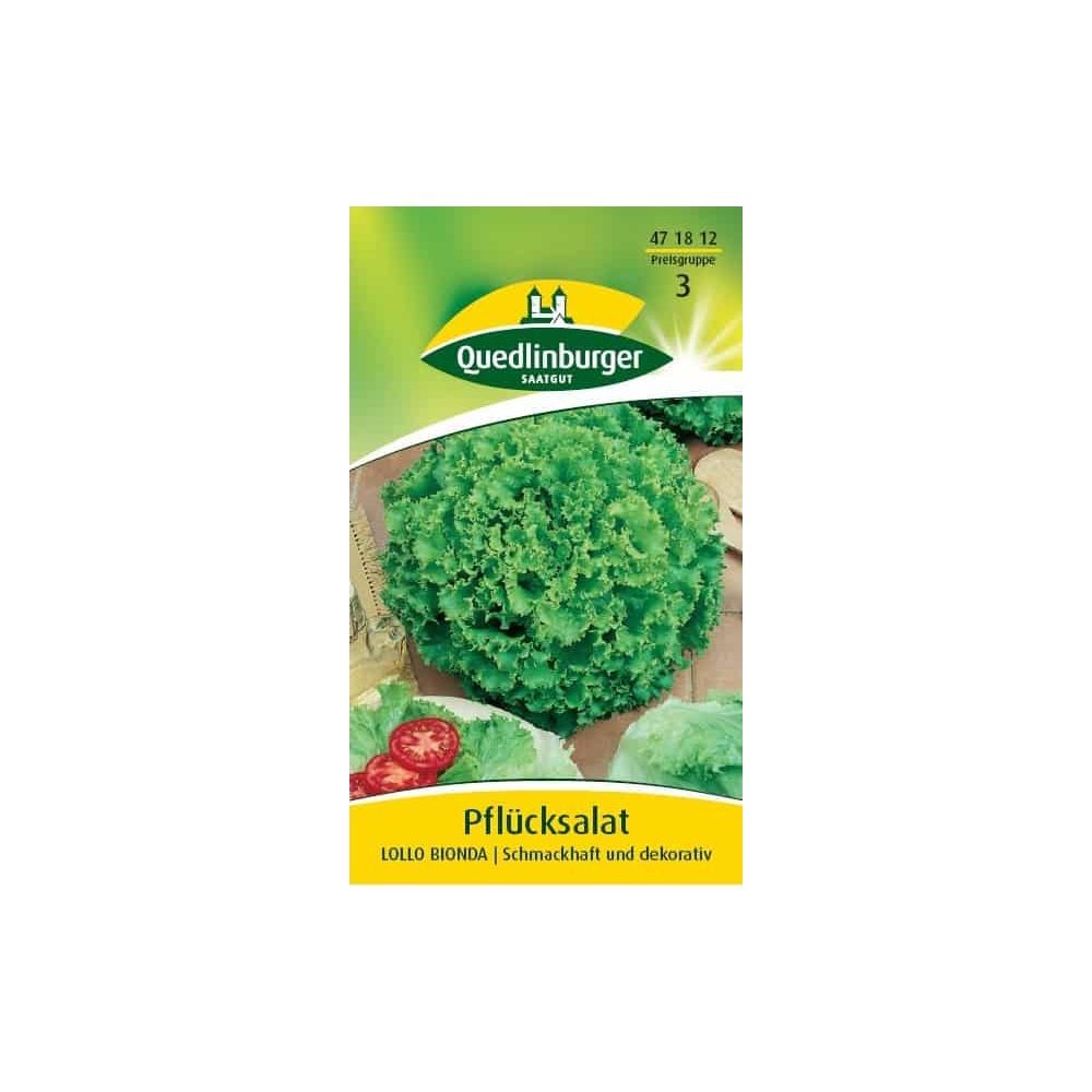 Plukksalat, Lollo bionda