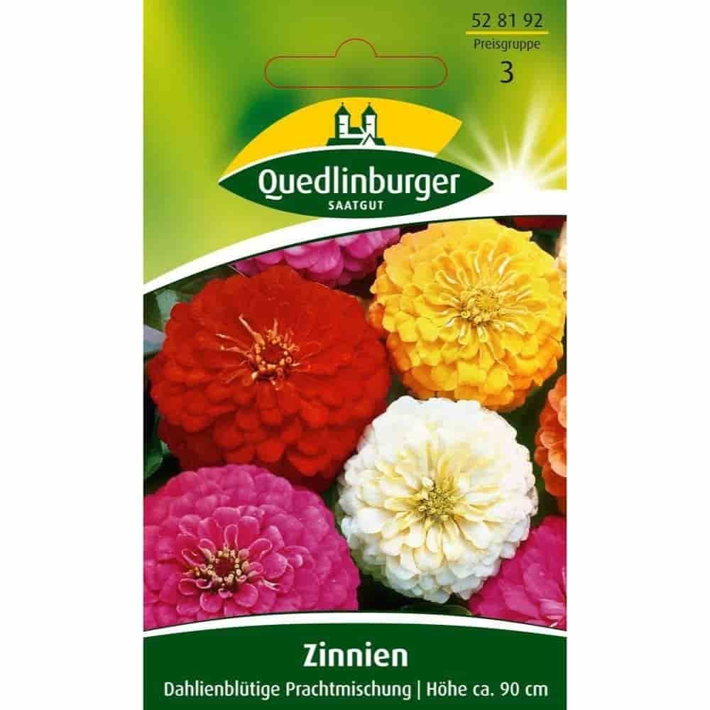 Zinnie, Dahlia-fantastisk blanding