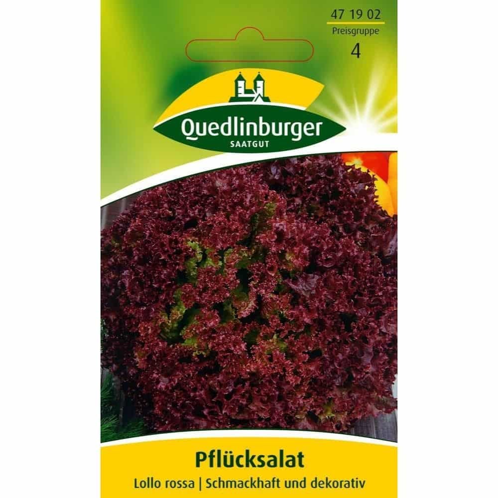 Plukksalat, Lollo rossa