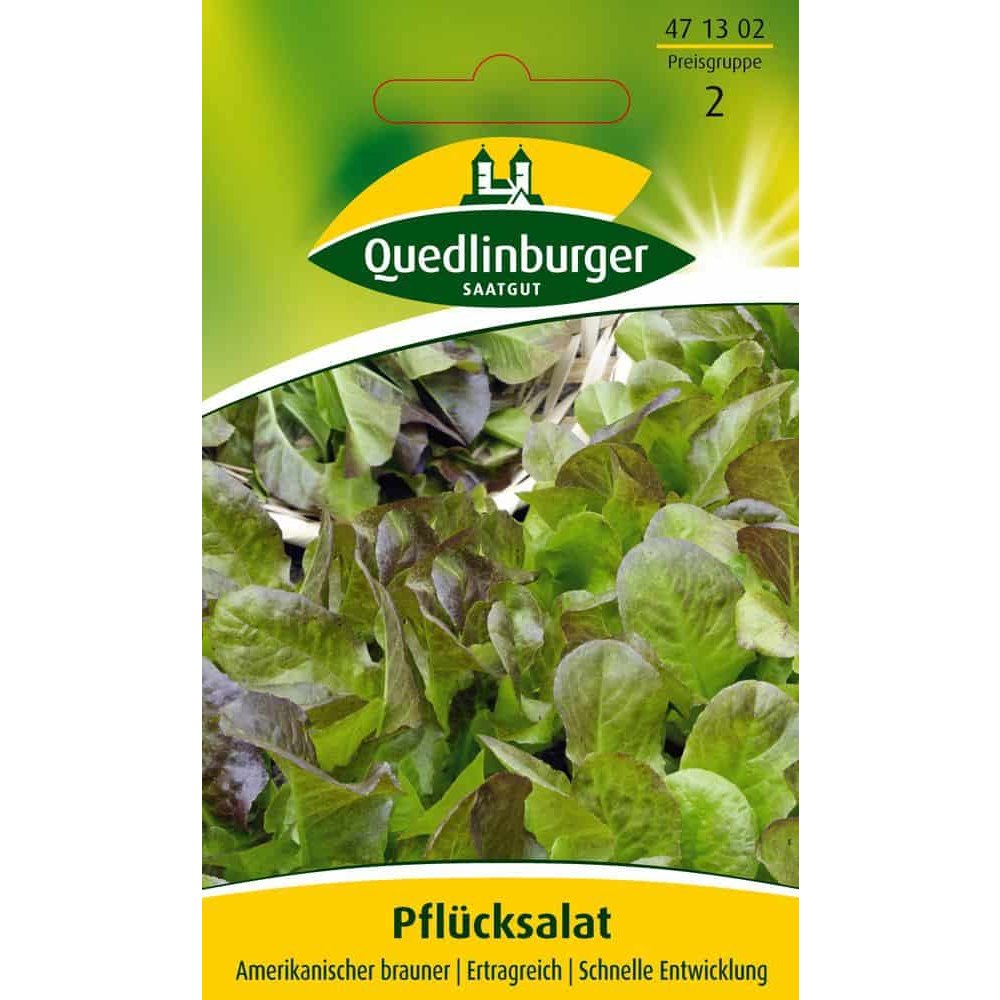 Plukksalat, Amerikansk brun