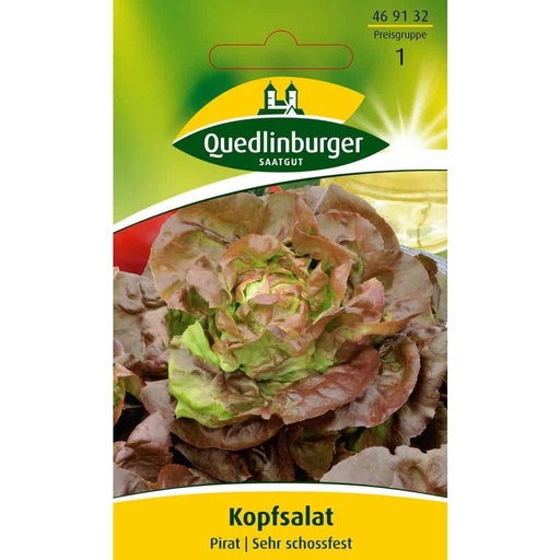 [BONI-469132] Hodesalat, Pirat